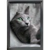 ALU SNAP FRAME 25mm (G) A3 RAL7012 #1