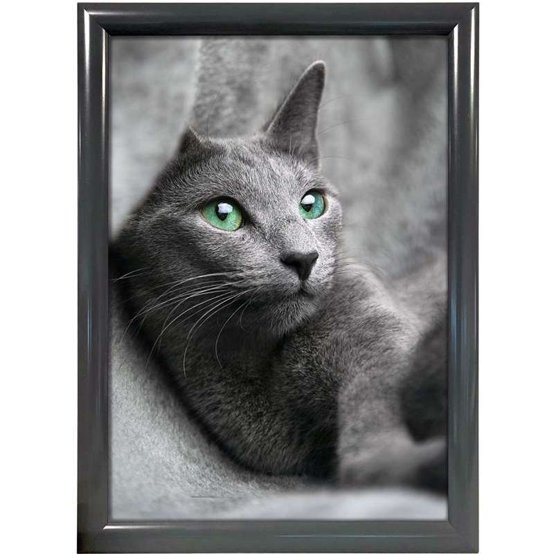 ALU SNAP FRAME 25mm (G) A3 RAL7012 #1