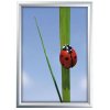 Alu snap frame 25 mm, 50 x 70, silver #1