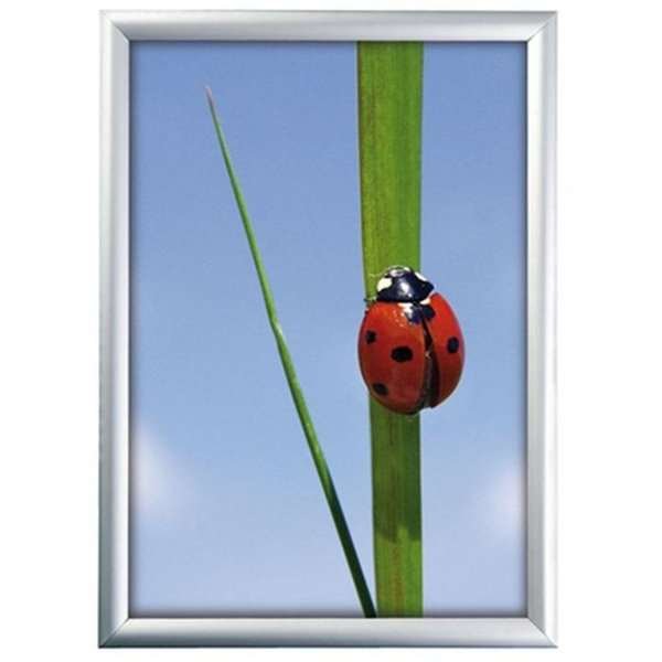 Alu snap frame 25 mm, 50 x 70, silver #1