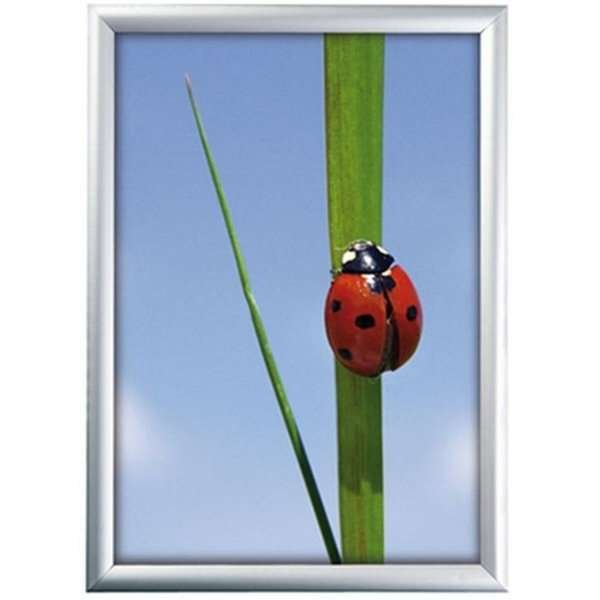 Alu snap frame 25 mm, A2, silver #1