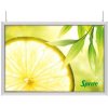 LED Slim Light LUX 70x100cm Double sided - Horizontal - #1