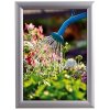 Alu snap frame watersafe, 25 mm, A2, silver #1