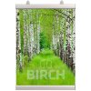 Poster-Clamp, 60 cm, alu/silver #3
