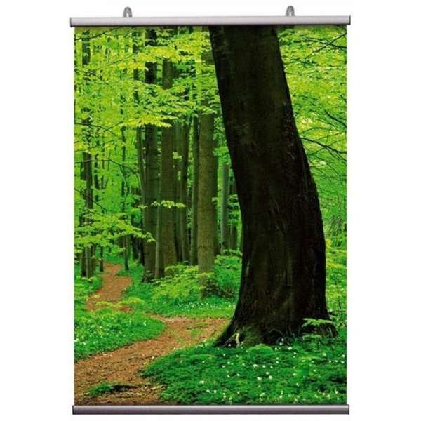 Poster-Hanger, double sided, set, 50 cm, alu/silver #2