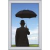 Alu Snap Frame Watersafe, 35 mm, 50 x 70 cm, silver #3
