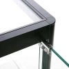 Showcase Counter Solo, blackt, with storage and LED spots #6