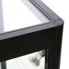 Showcase Counter Solo, blackt, with storage and LED spots #2