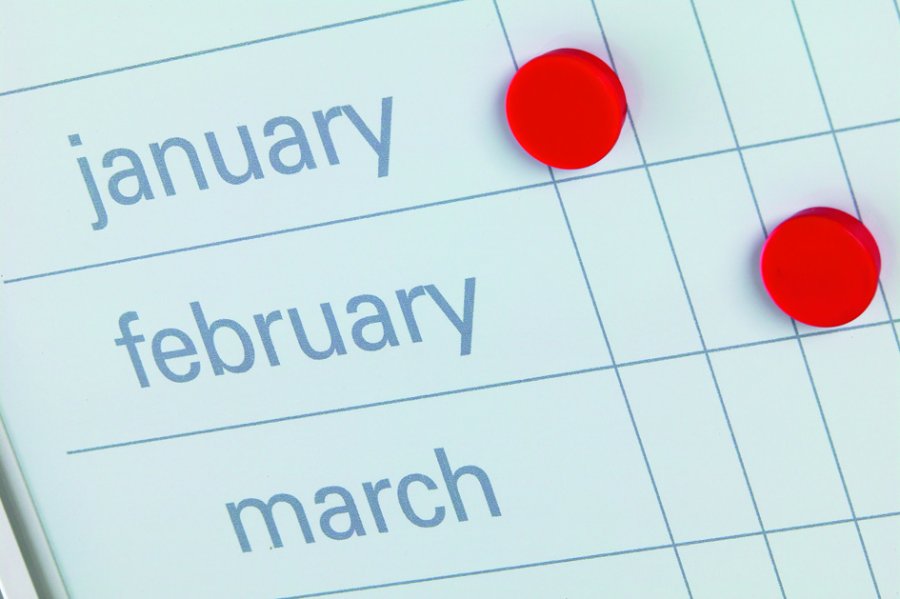 Planning Board - Annual Calendar with Days - 60x120 cm #2