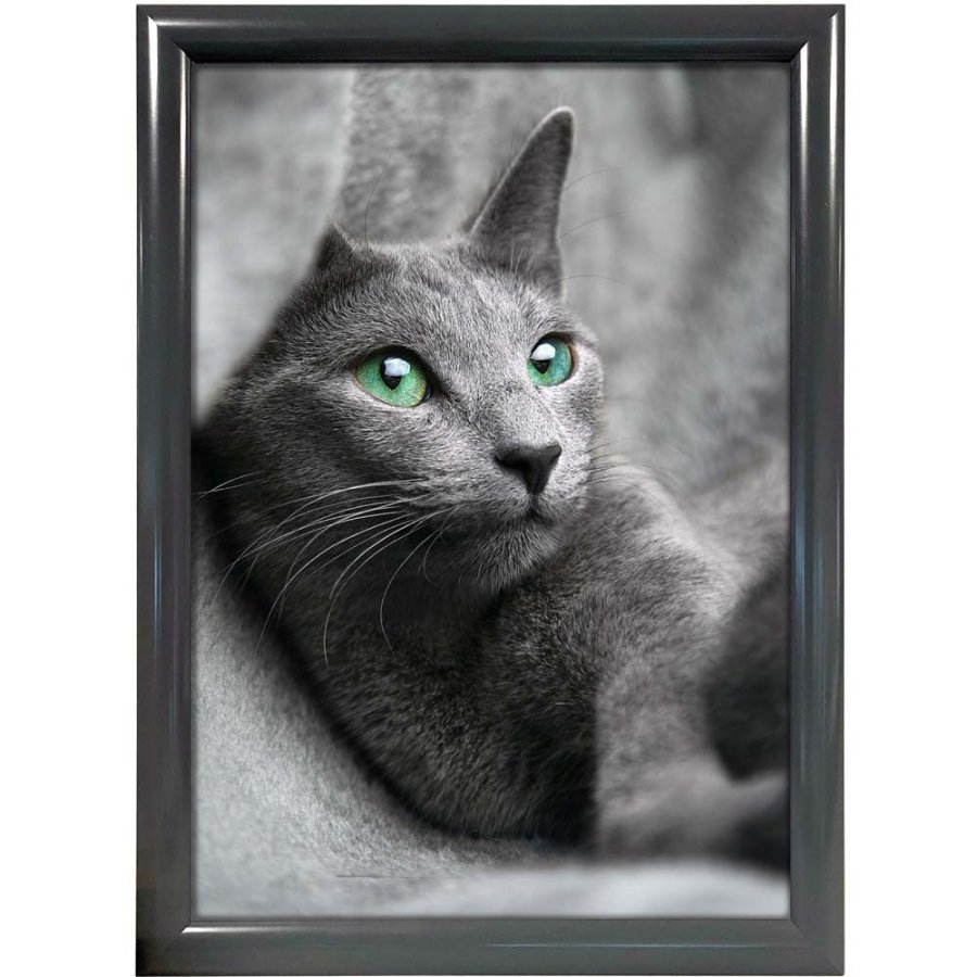 ALU SNAP FRAME 25mm (G) A1 RAL7012 #1