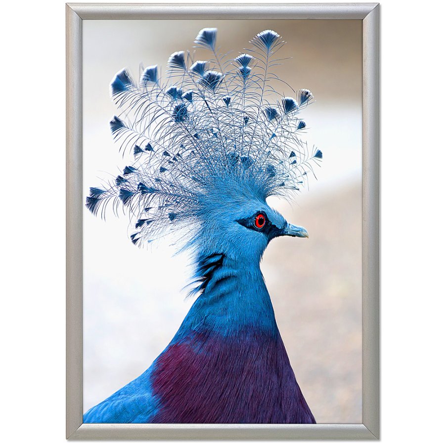 Snap frame ALU 17 mm (G) A2