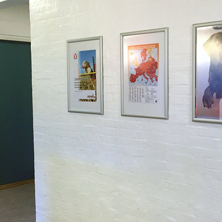 Alu snap frame 25 mm, A3, silver