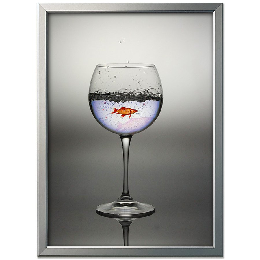 Alu snap frame 20 mm, A1, silver