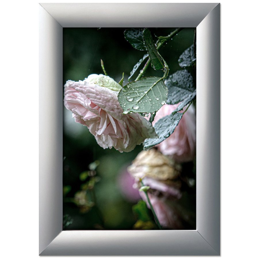 Alu snap frame, 45 mm, 100 x 200, silver