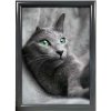 ALU SNAP FRAME 25mm (G) 50x70cm RAL7012 #1