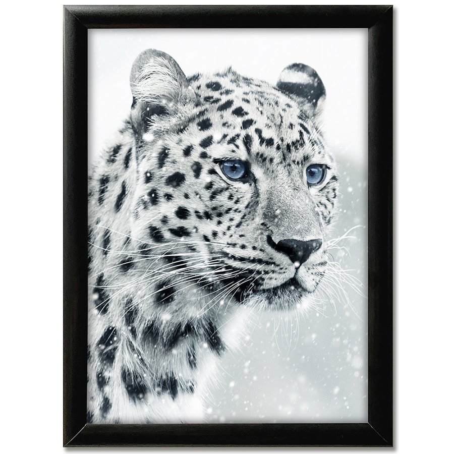 Alu snap frame 25 mm, 50 x 70, black