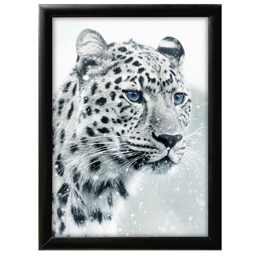 Alu snap frame 25 mm, 70 x 100, black