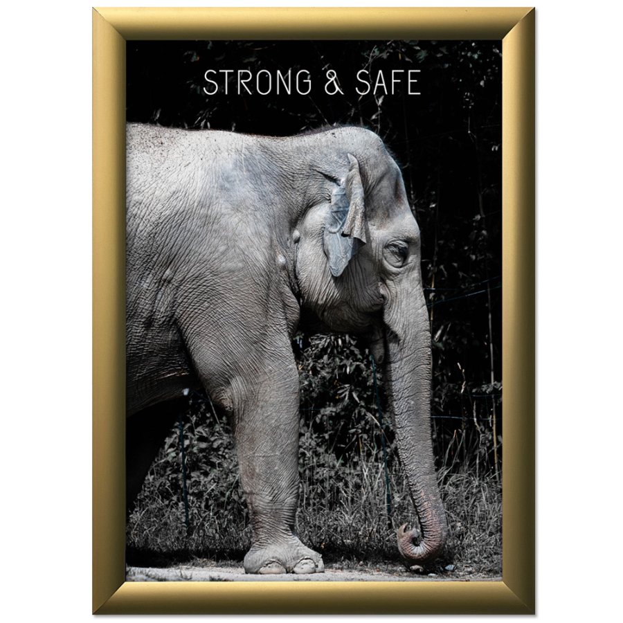 Alu snap frame 25 mm, 70 x 100, matt gold