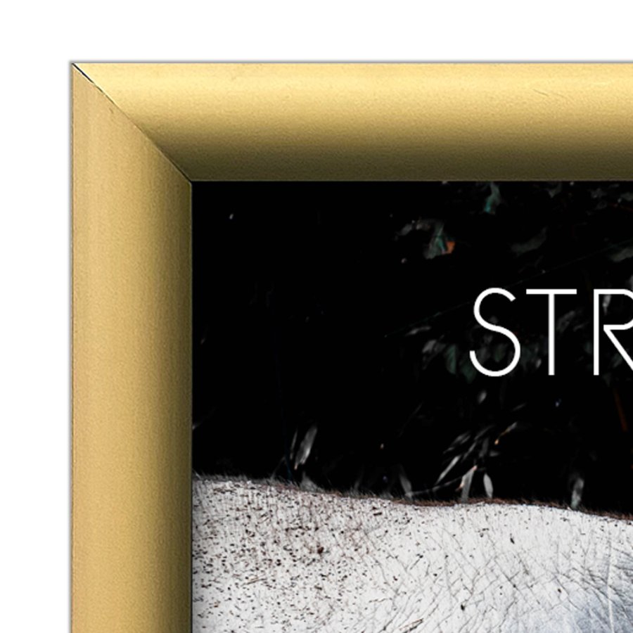 Alu snap frame 25 mm, 70 x 100, matt gold