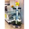 Shop Display with 6 buckets, A4 sign holder #6